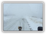 Blizzard 2016