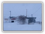 Blizzard 2016