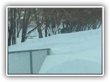 Blizzard 2016