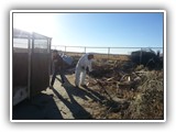 Burn Pit Cleanup Oct 2015