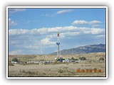 Oil Pumps