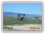 Oil Pumps