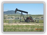 Oil Pumps