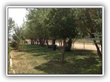 Mike Atwill Memorial Park